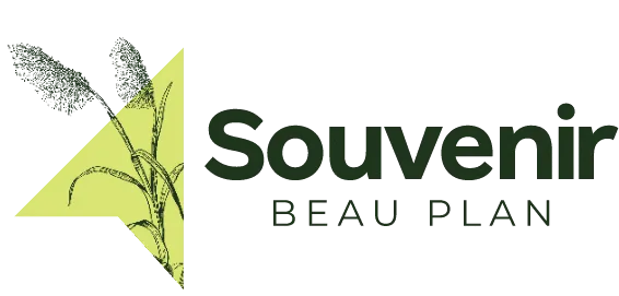 Souvenir Beau Plan