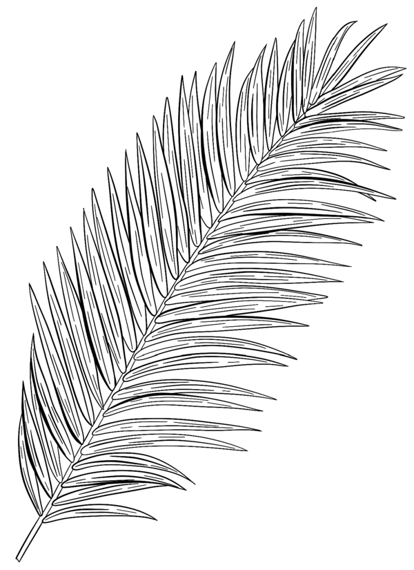 beau plan illustration11