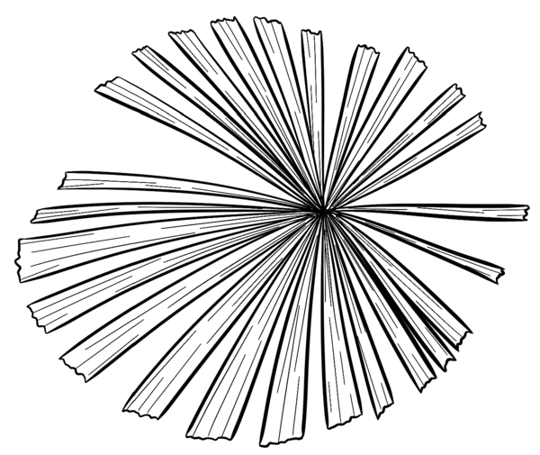 beau plan illustration2.png