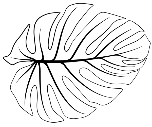 beau plan illustration3