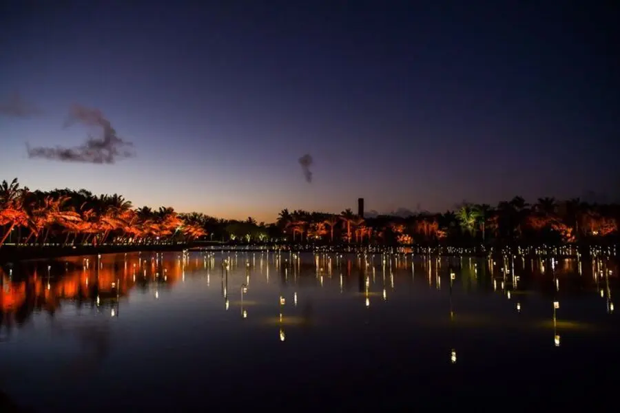 le champ des lumières comme une ode au patrimoine de terra