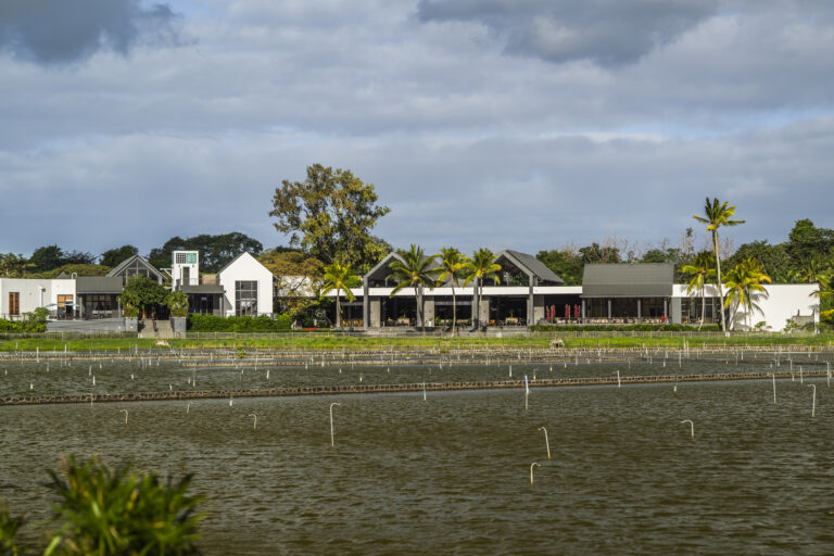 mahogany destination like no other